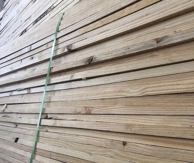 和顺巴西松